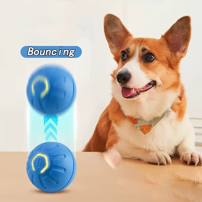 Balle rebondissante interactive pour chat