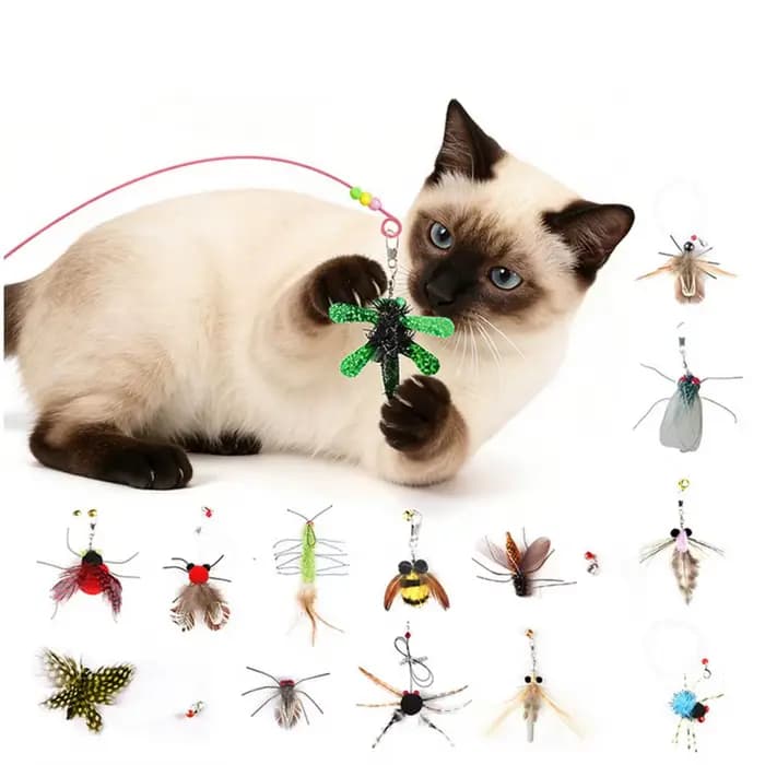 Jouet à plumes pour chat