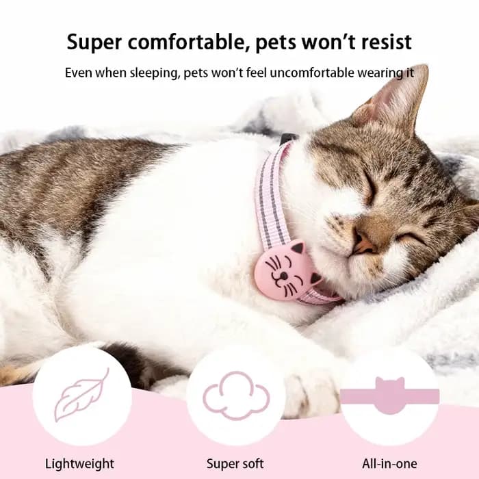 Collier pour chat GPS traqueur pour animaux de compagnie