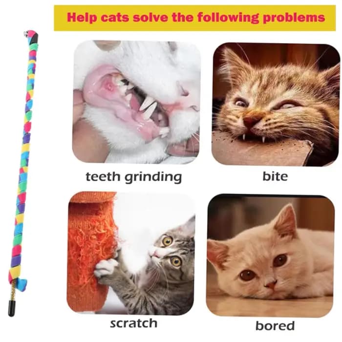 Jouet arc-en-ciel interactif pour chat