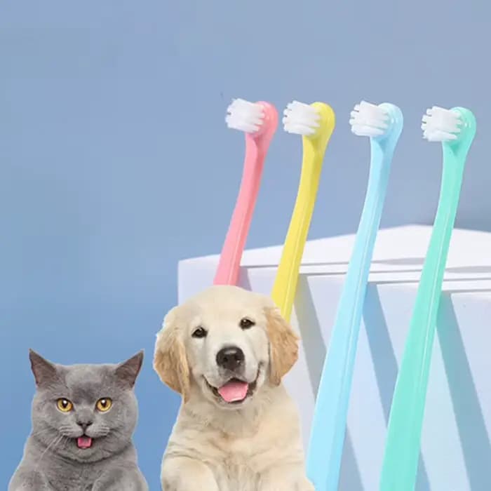 Brosse à dents pour chien