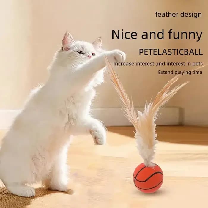 Balle rebondisnoyaux interactive pour chat
