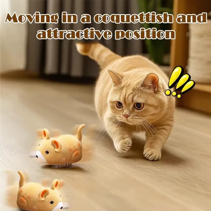 Jouets interactifs pour chats d'intérieur