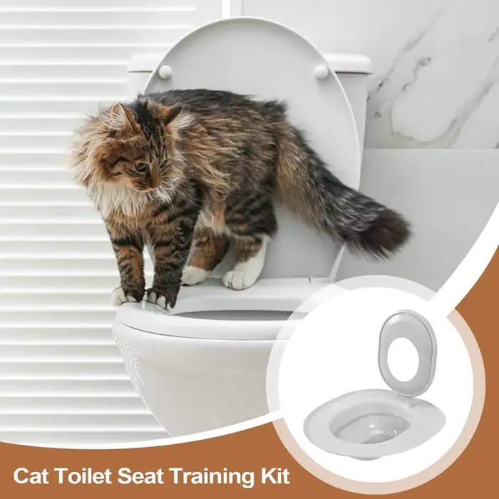Kit d'apprentissage de la propreté pour chat