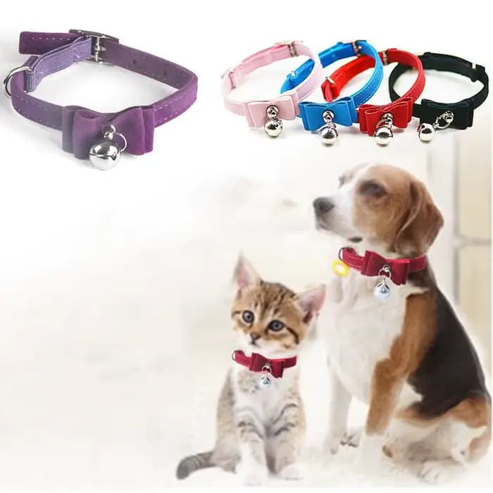 Collier pour animaux de compagnie chaton mignon velours nœud papillon sécurité élastique réglable noeud