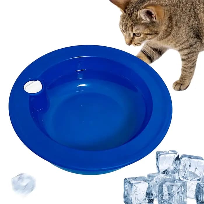 Bol rafraîchissant pour animaux de compagnie