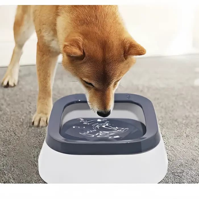 Bol d'eau potable pour chien, bol flottant à bouche Non mouillante pour chat sans déversement, distributeur d'eau potable, bol en plastique Anti-dessus pour chien