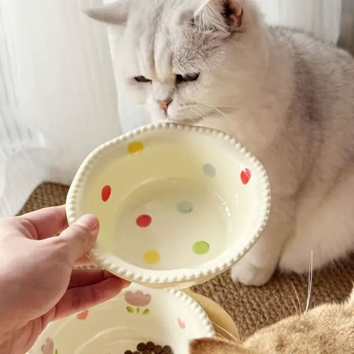 Bol en céramique anti-vomissement pour chat