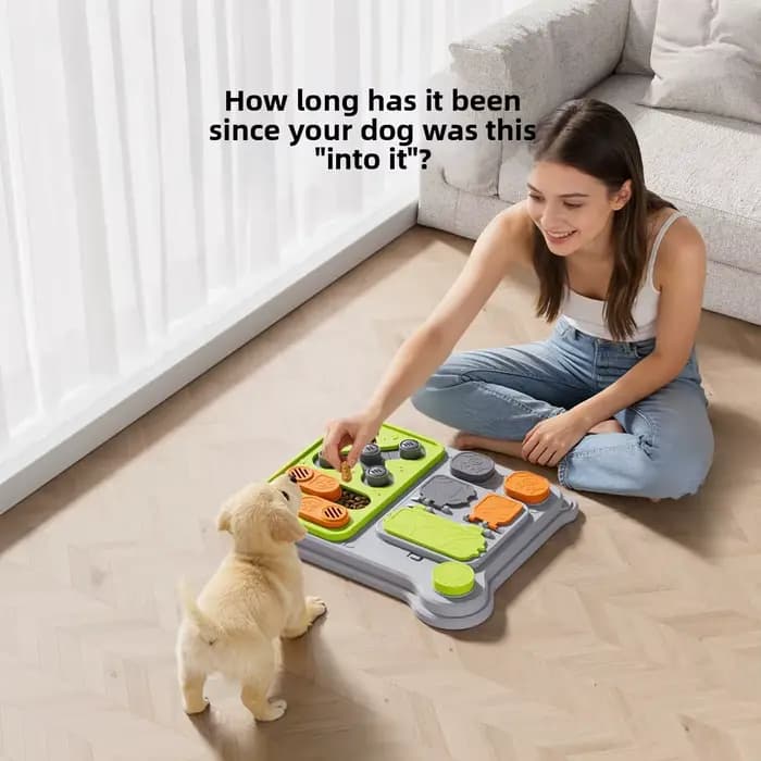 Jouet d'entraînement cérébral et distributeur de nourriture pour chien