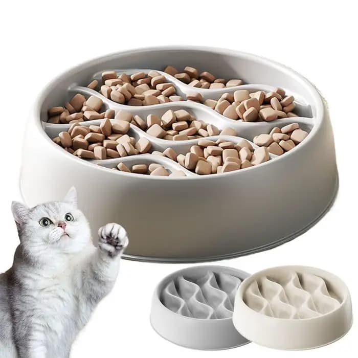 Bol de nourriture lente pour chien et chat