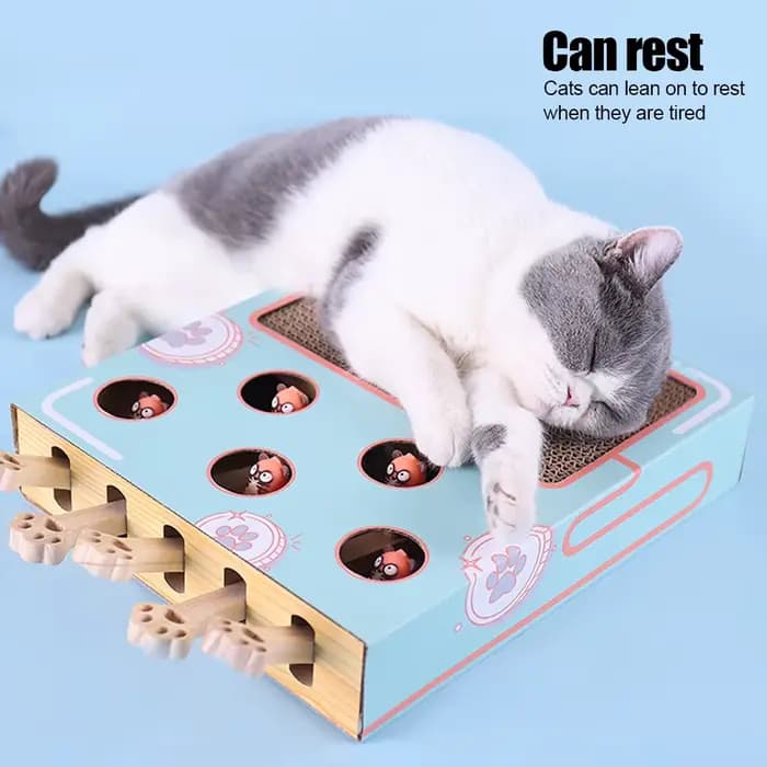 Boîte de jeu pour chat