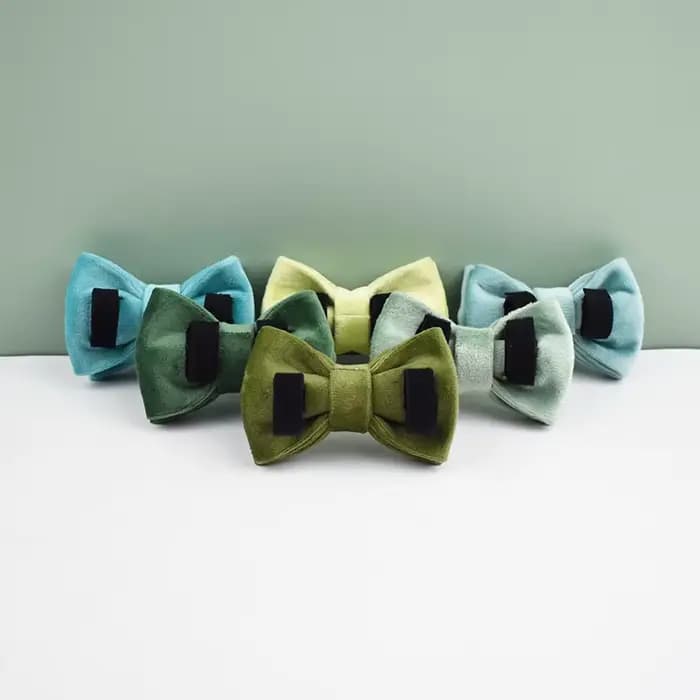 Collier de chat en velours, à la mode, avec nœud papillon, avec boucle de sécurité réglable, accessoires pour animaux de compagnie
