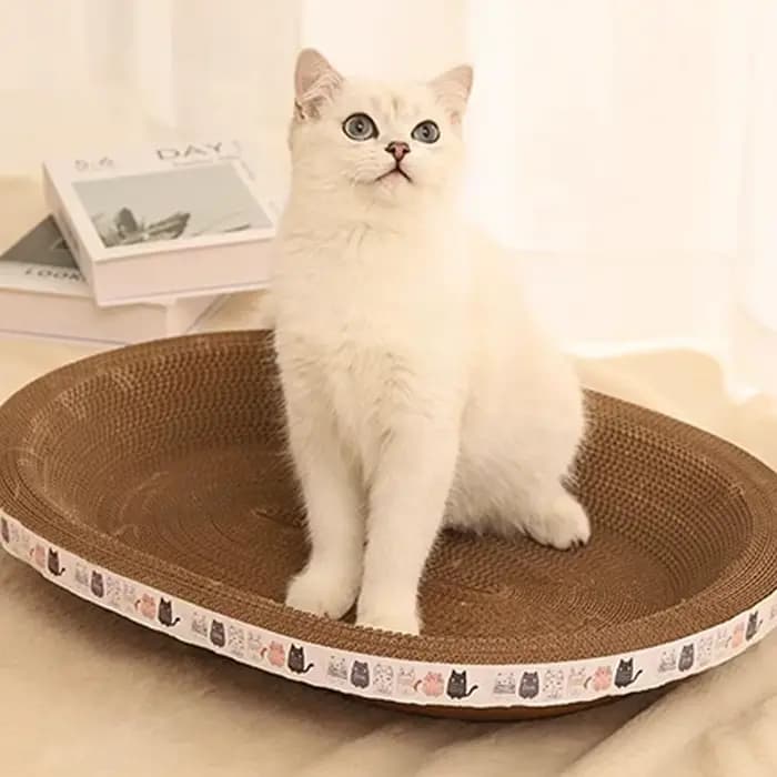Gratte-chat ondulé grattoirs pour chat planche à gratter