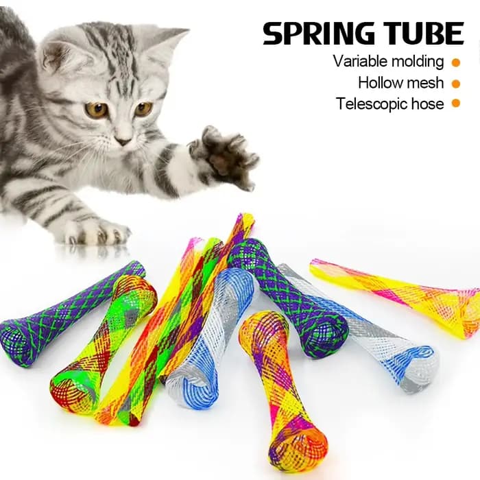 Jouets à ressort pour chaton et chat