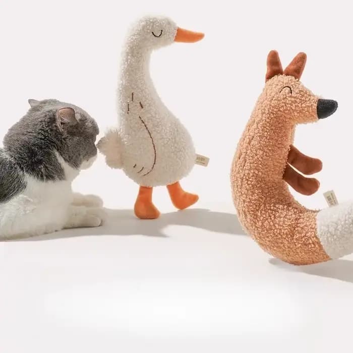 Jouets pour chats et chiens