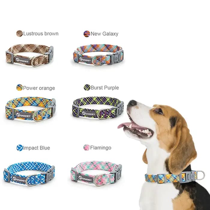 Collier réfléchissant pour chien et chat