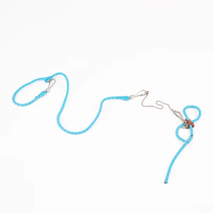 Laisse SFP souple réglable pour petit animal de compagnie