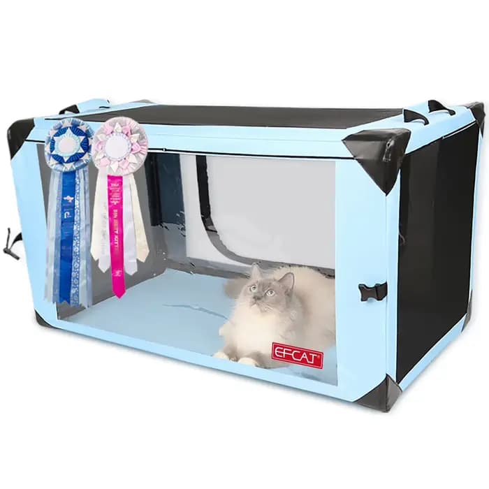 Grande cage d'exposition de chat pour montrer