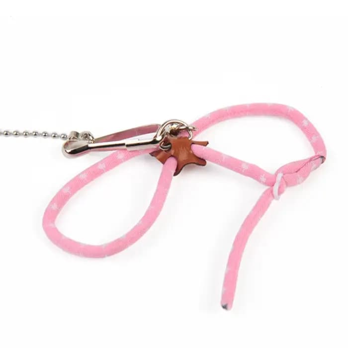 Laisse SFP souple réglable pour petit animal de compagnie