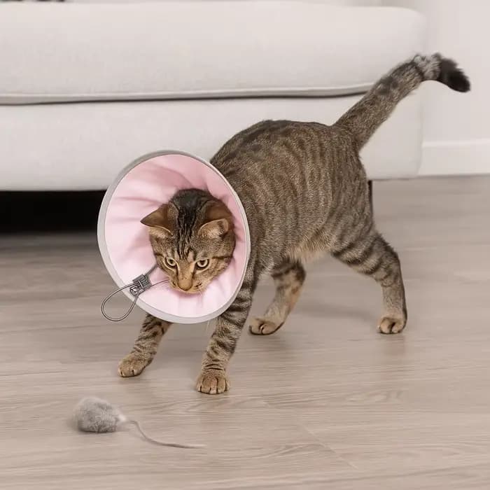 Collier anti-léchage pour animaux de compagnie
