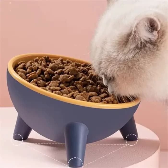 Bol antidérapant pour animaux de compagnie