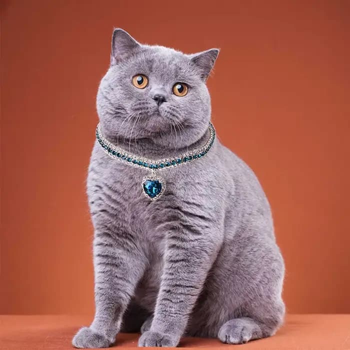 Collier de luxe en diamant pour animaux de compagnie, pendentif d'amour mignon, collier pour chien et chat, accessoires pour chiots, collier en cristal scintillant pour chat