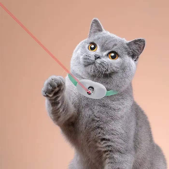 Colliers laser pour chat