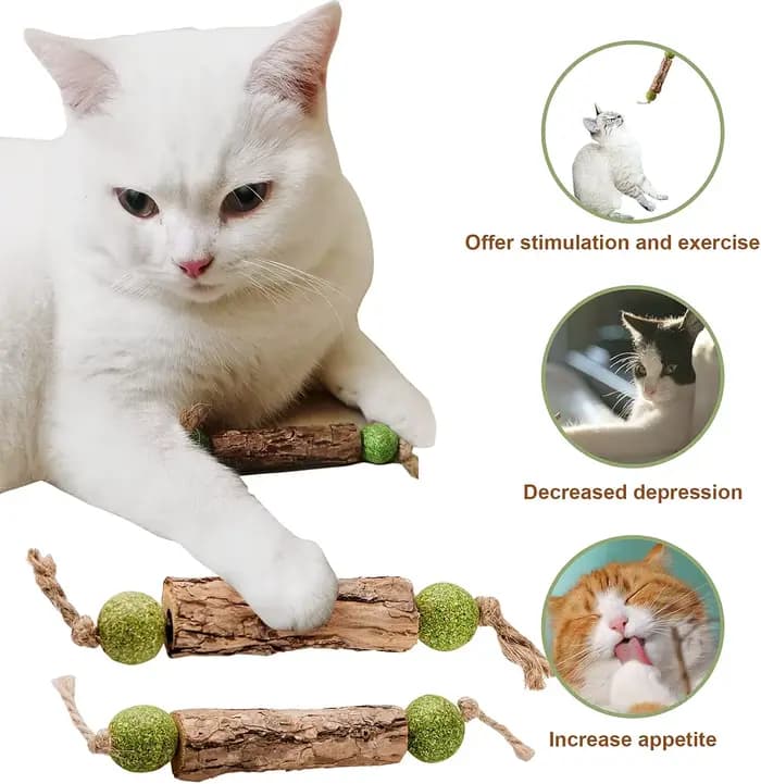 1 bâtonnet de nettoyage dentaire pour chat