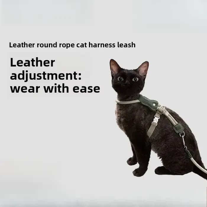 Harnais et laisse pour chat en forme de H réglables