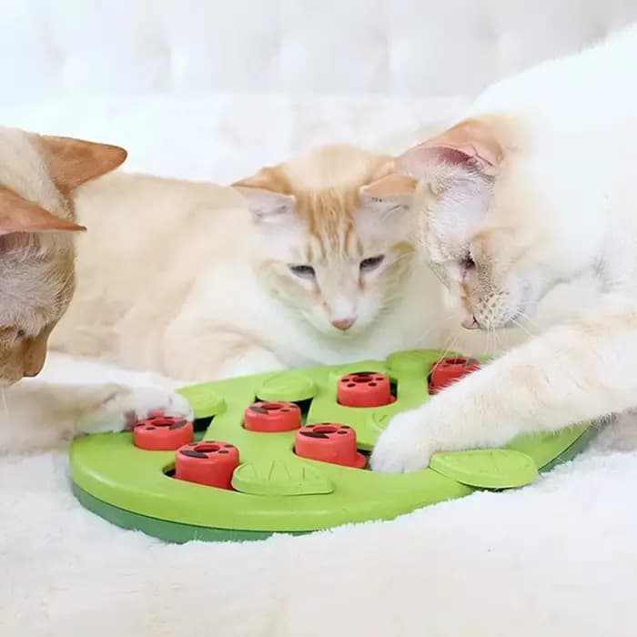 Jouet de puzzle pour chat en plastique non toxique de haute qualité