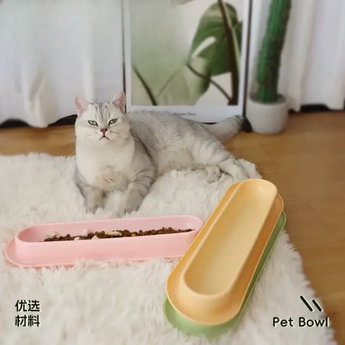 Bol de nourriture pour chat Long avec rainure Anti-fuite, plat d'alimentation pour animaux de compagnie avec eau humide pour empêcher les fourmis et les insectes, bol d'alimentation pour animaux de co