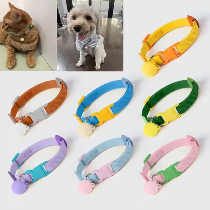 Collier réfléchissant pour chat