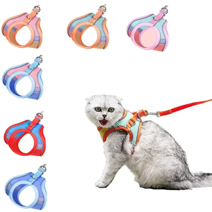 Ensemble de laisse et de collier pour chat