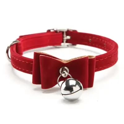 Collier élastique de sécurité pour chat