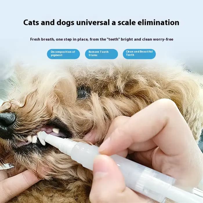 Brosse à dents pour animaux de compagnie