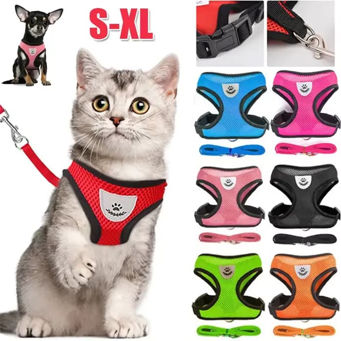 Harnais pour chat et chien avec laisse