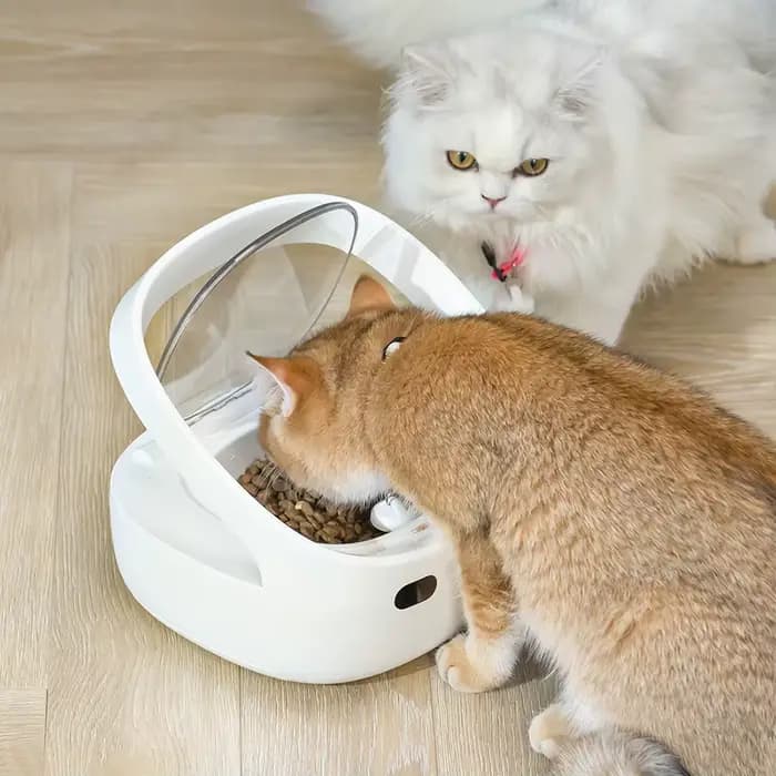 Nouveau mangeoire Petoneer NutriCare sur mesure pour les ménages multi-animaux