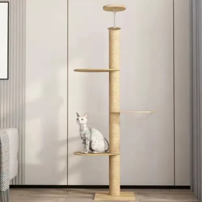 Plancher d'arbre pour chats