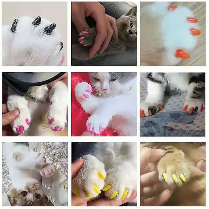 Bouchons d'ongles souples pour chats