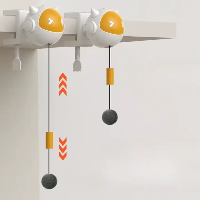 Jouet pour chat à levage automatique