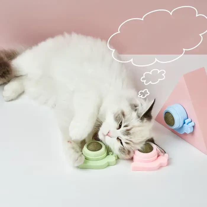 Tirets pour animaux de compagnie chat sain herbe-aux-chats jouets balle