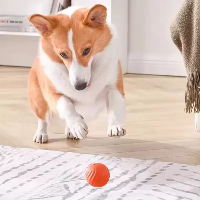 Balle de jouet pour animaux de compagnie
