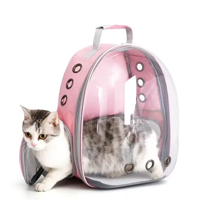 Sacs de Transport pour chats