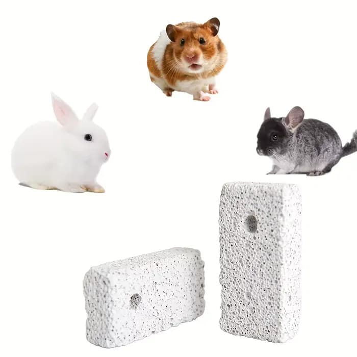 Naturel pour animaux de compagnie