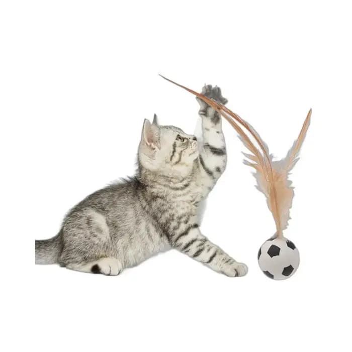 Balle rebondisnoyaux interactive pour chat