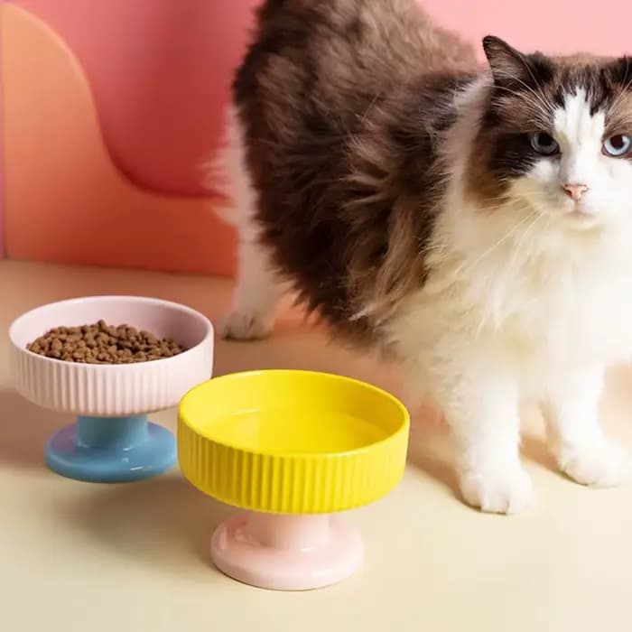 Bol en céramique pour chat