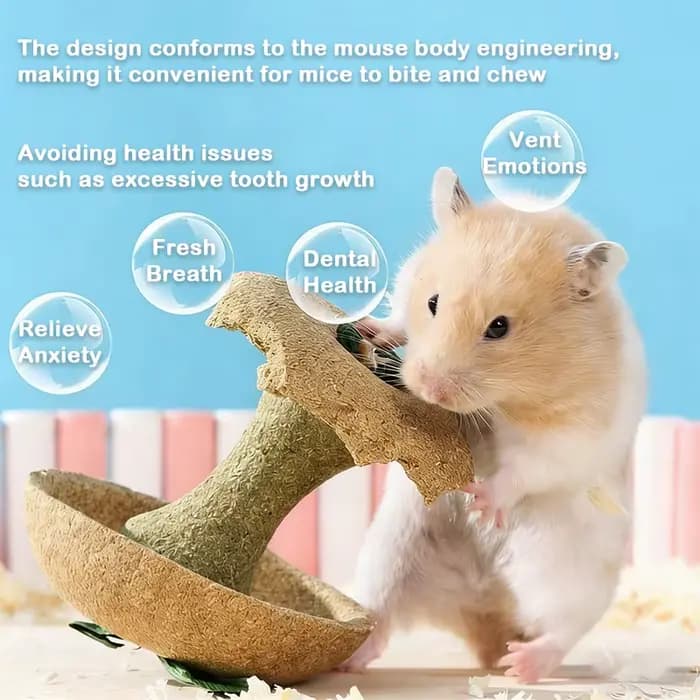 Biscuits à mâcher pour hamster