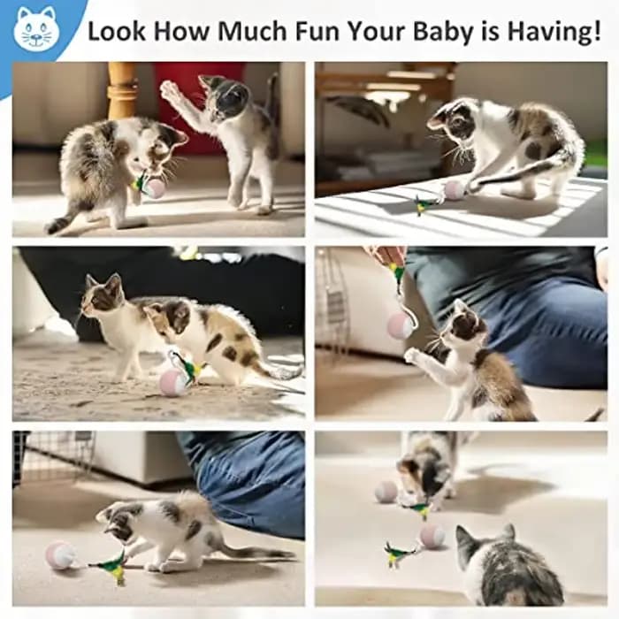 Jouets robotiques intelligents pour chat d'intérieur