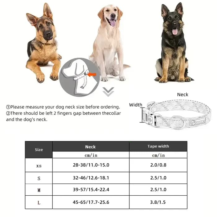 Collier réfléchissant pour chien et chat