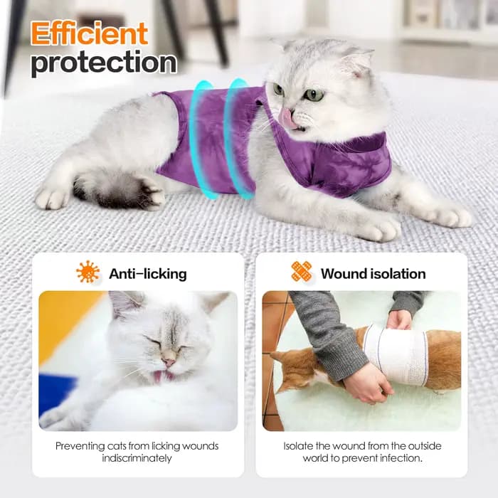 Glaçage de stérilisation pour chats de petite et moyenne taille